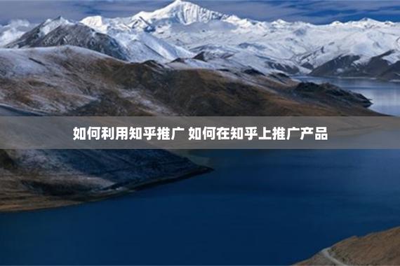 高效推廣指南 策略、渠道與實戰(zhàn)技巧